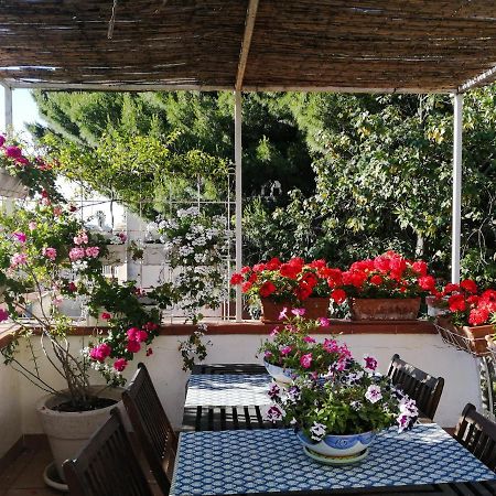 La Stanza Di Angi A Mondello Hotel Palermo Eksteriør billede