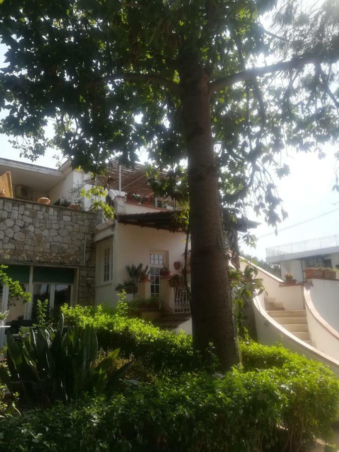 La Stanza Di Angi A Mondello Hotel Palermo Eksteriør billede