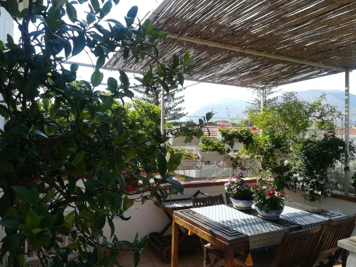 La Stanza Di Angi A Mondello Hotel Palermo Eksteriør billede